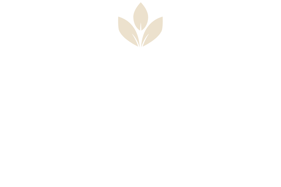 Visit Olivella - Live, Explore, Grow